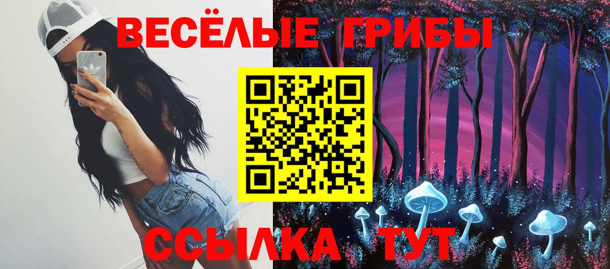 Лесозаводск  продажа наркотиков  Вход с VPN  Псилоцибиновые грибы ЛСД 